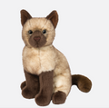 Douglas Chai Siamese Cat